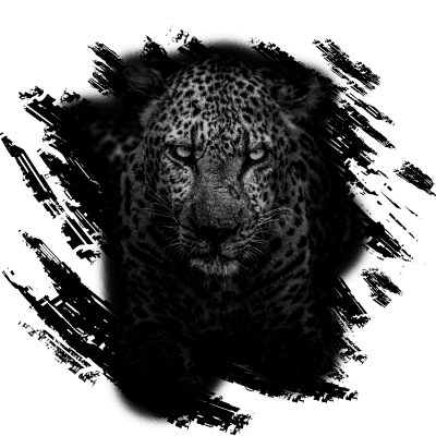 Jaguar edit design