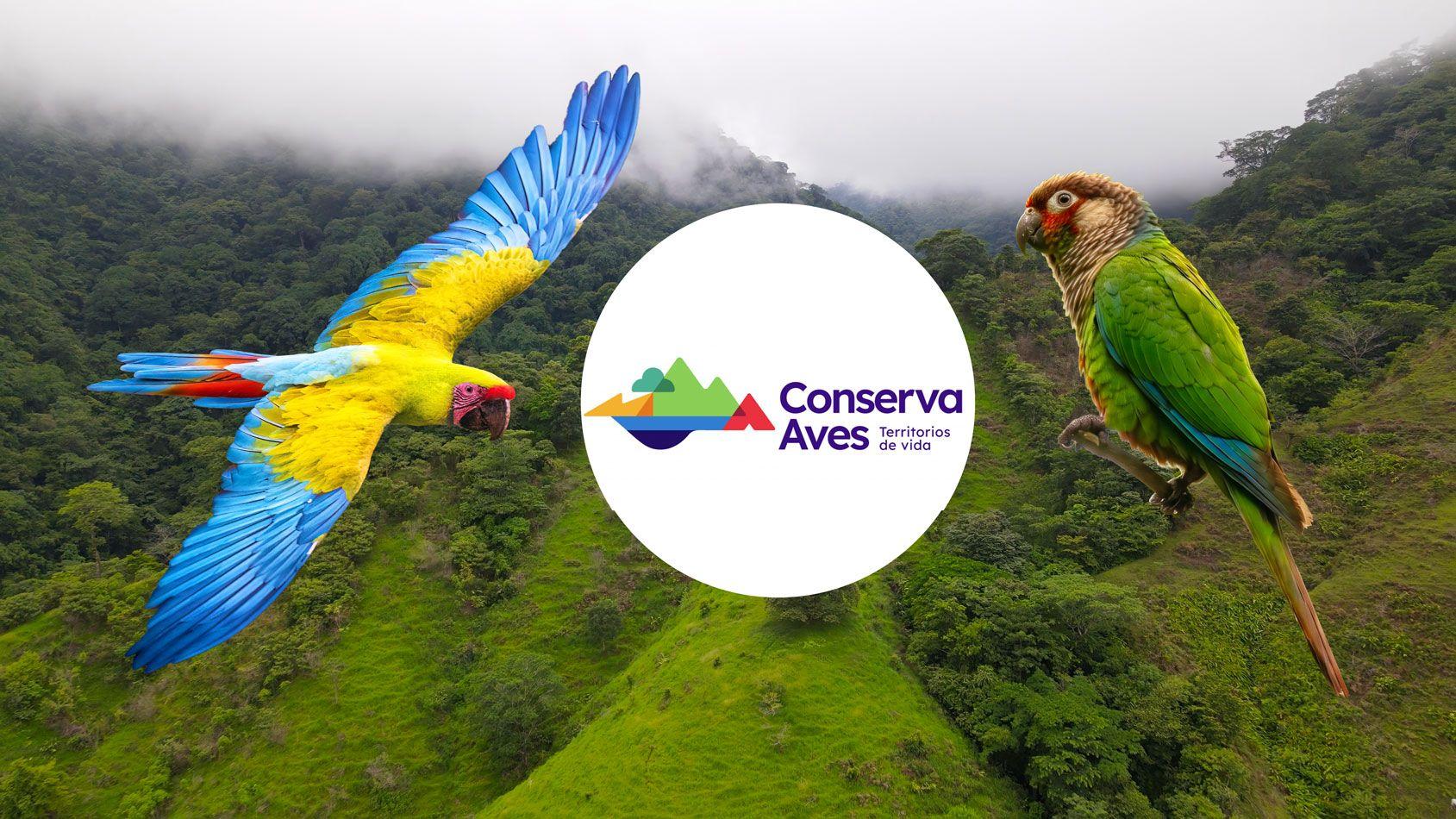 Ara Panama Sanctuary (REMOSFA project)