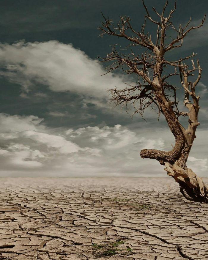 Climate change