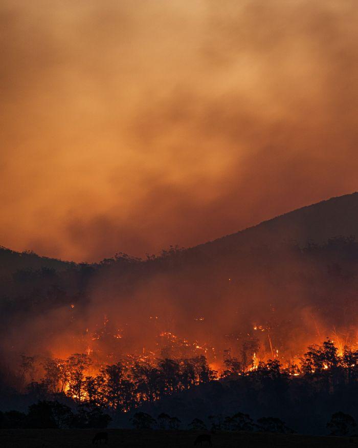 Fire incidents